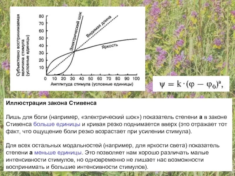 Модальность стимула. Основной психофизический закон Стивенса. Психофизический закон Стивенса формула. Степенной закон Стивенса. Степенная функция Стивенса.