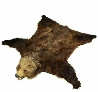 Bear skins