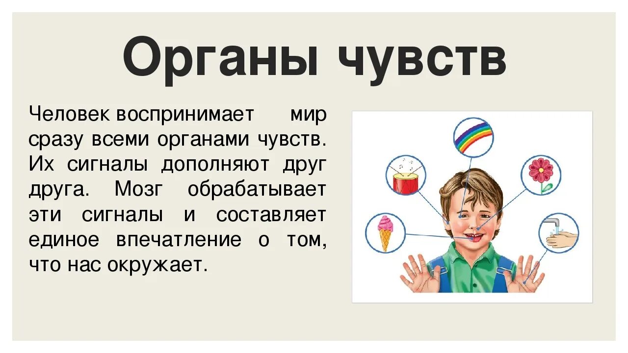 Как получить человек в 4. Органы чувств человека. Окружающий мир органы чувств. Проект органы чувств. Органы чувств доклад.