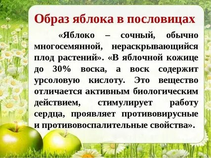 История яблони
