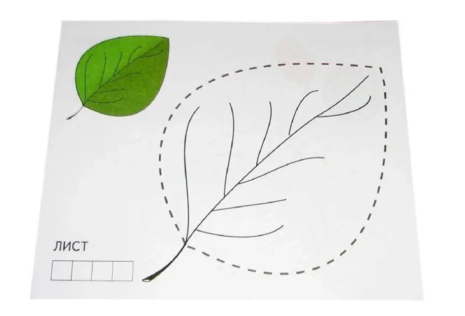 Задания листы бумаги. Листики по точкам. Листья деревьев обвести. Обвести листочки для детей. Лист пунктиром.
