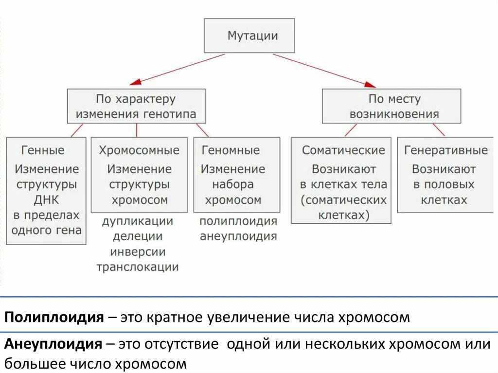 Генеративные мутации классификация. Мутации по месту их возникновения. Классификация мутаций соматические и генеративные. Соматическая изменчивость примеры.