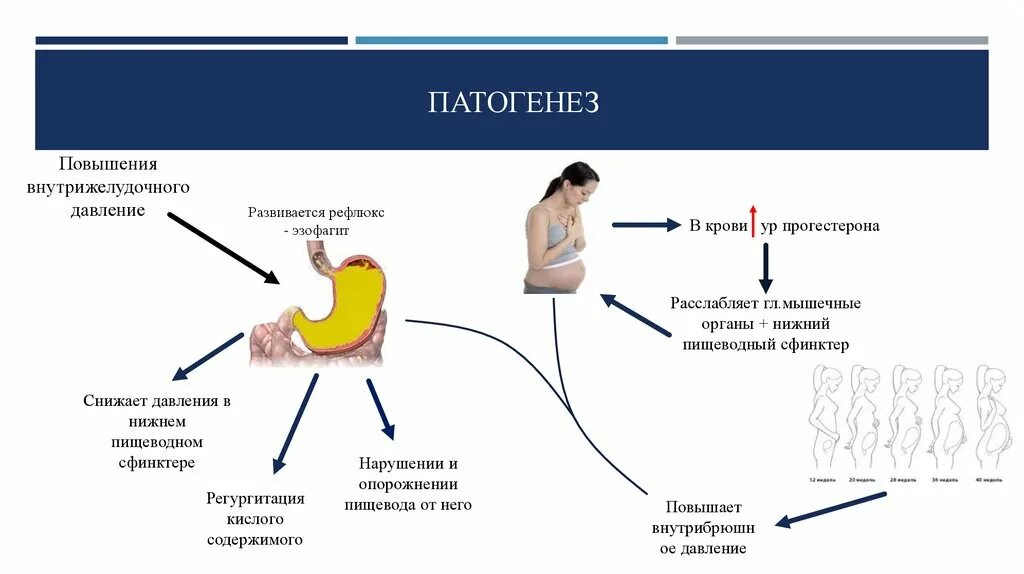 Почему не снижается давление после приема. Снижение давления в нижнем сфинктере пищевода. снижают давление в нижнем сфинктере пищевода продукты. денол сниженное давление. продукты для повышения сфинктера желудка.