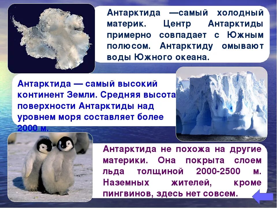 Антарктида презентация. Самый холодный материк на земле. Антарктида проект. Антарктида презентация 2 класс.
