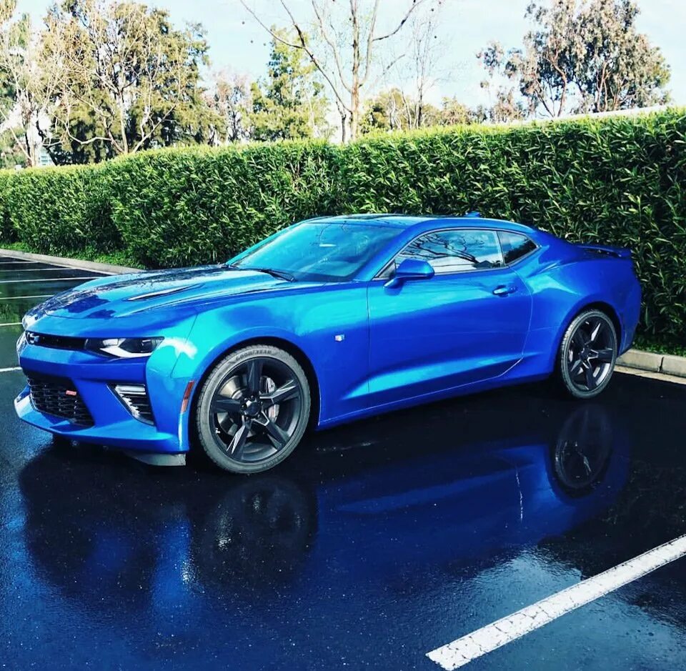 Camaro шестого поколения. Шевроле камаро 2025. chevrolet camaro 6 поколение. шевроле камаро 2025. chevrolet camaro 2.