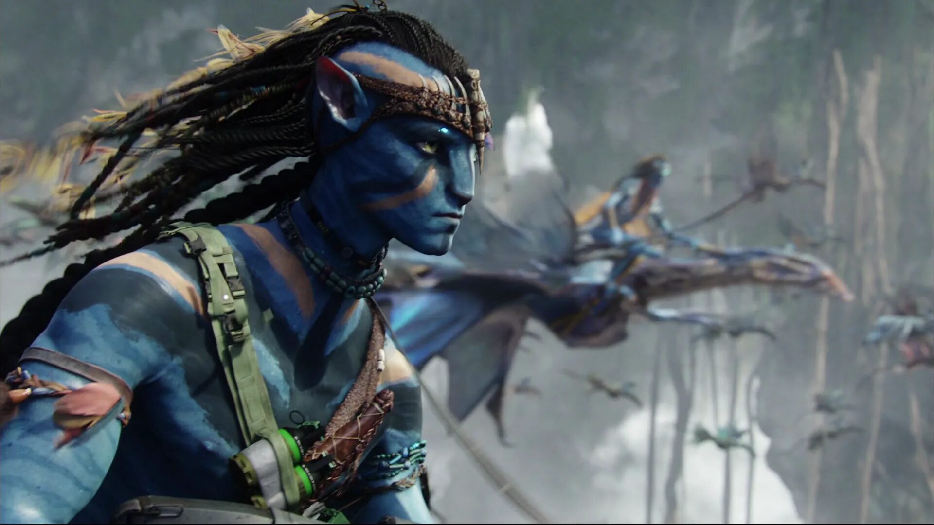 Avatar fighting