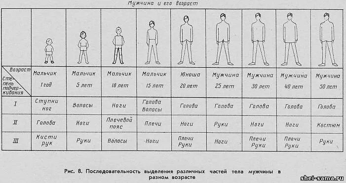 Мужчина по возрасту