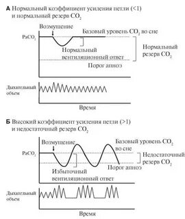 Песни кишлака апноэ