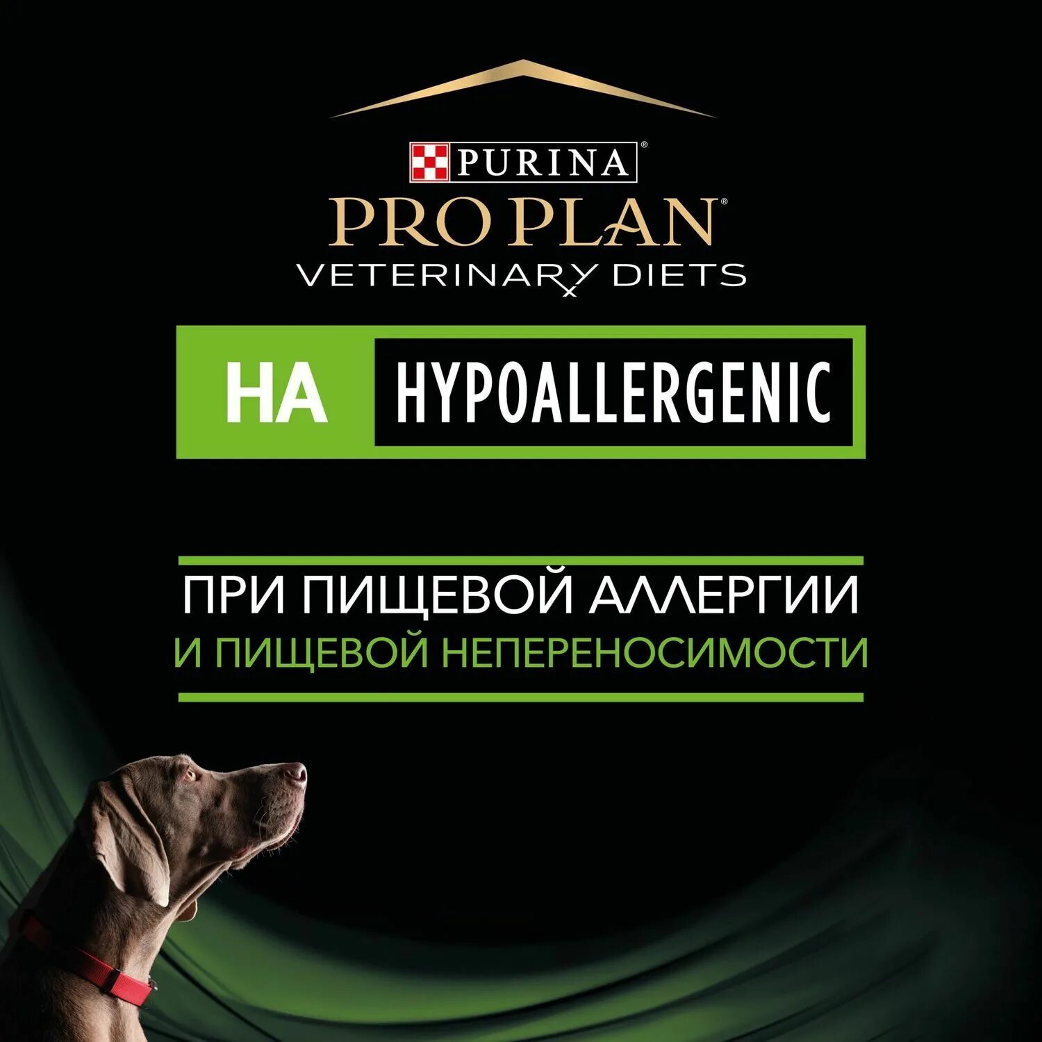 Pro Plan Veterinary Diets ha Hypoallergenic. Pro Plan ha Hypoallergenic для собак. Pro Plan Veterinary Diets ha Hypoallergenic для собак. Pro Plan Veterinary Diets Hypoallergenic для собак 3 кг сухой.