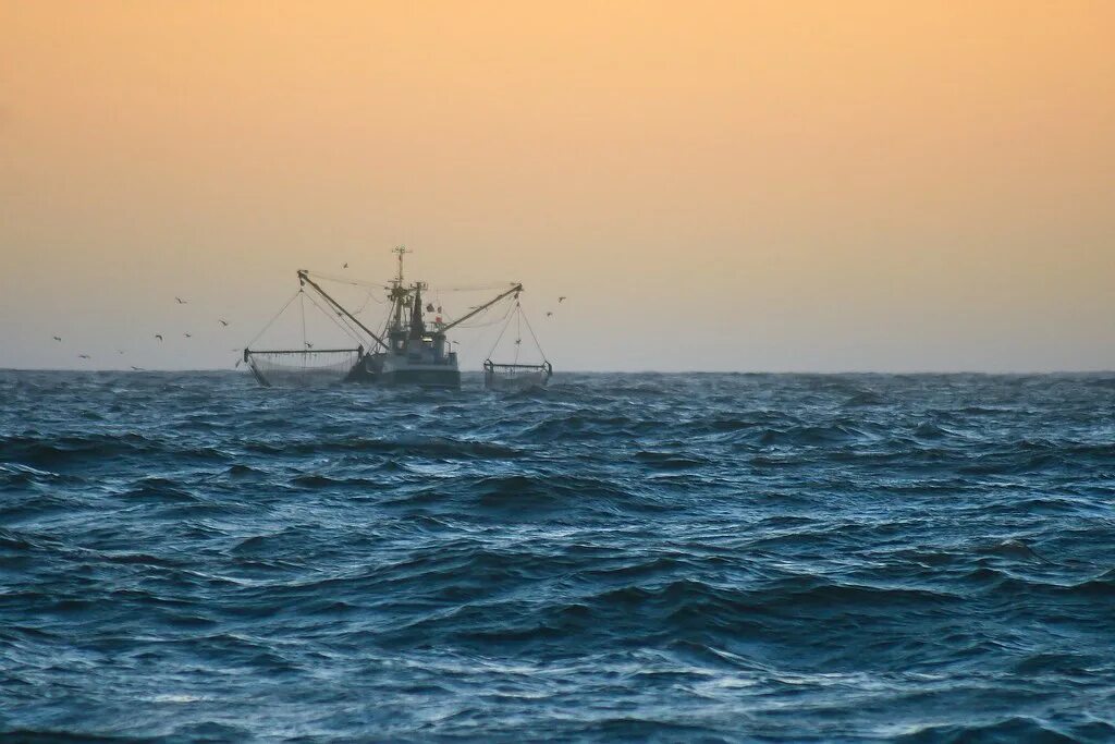 North Sea. Уютный папуснрк в Северном море. Рыбаки в Эдинбурге в Северном море.