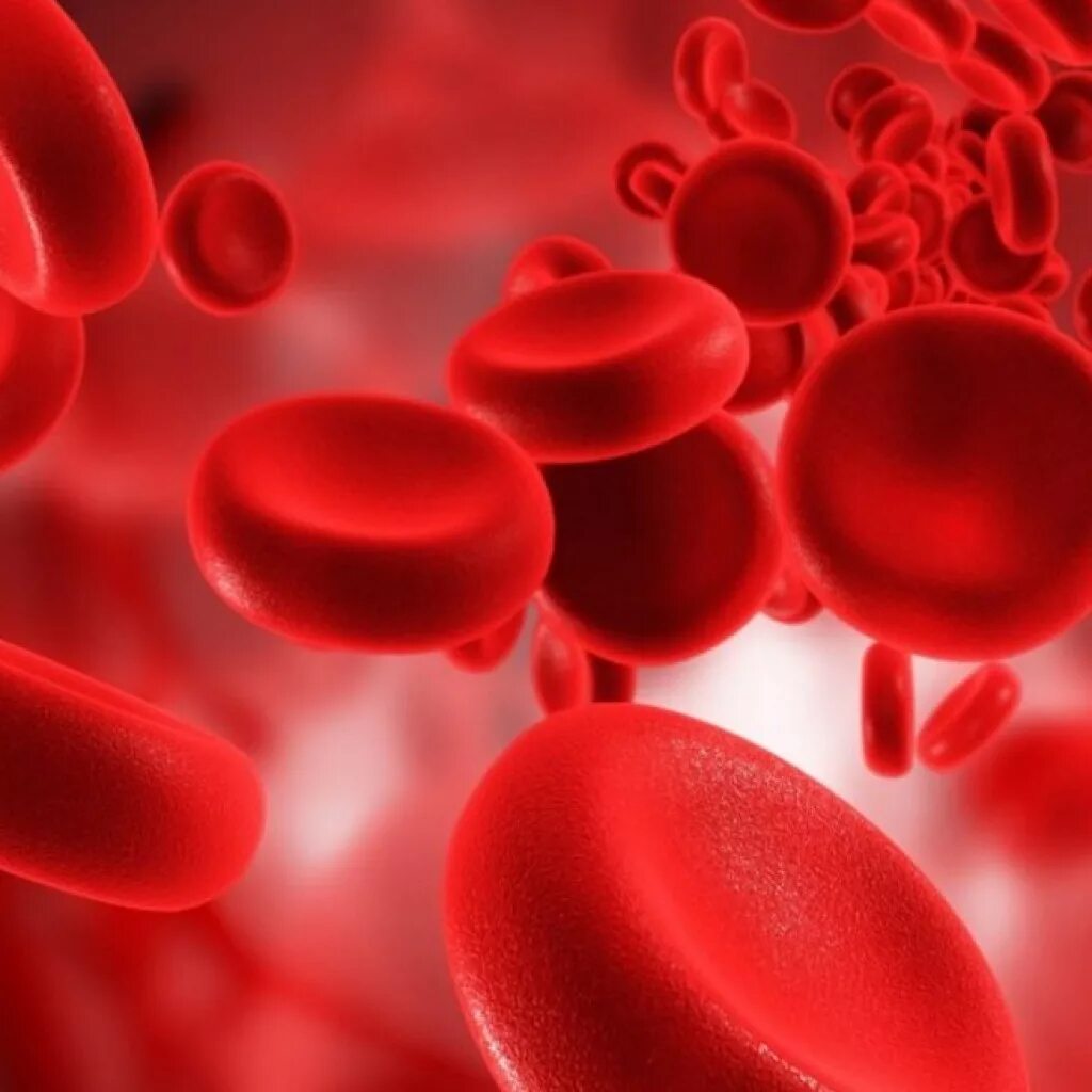 Анемия стоп. Клетки крови в сосуде.