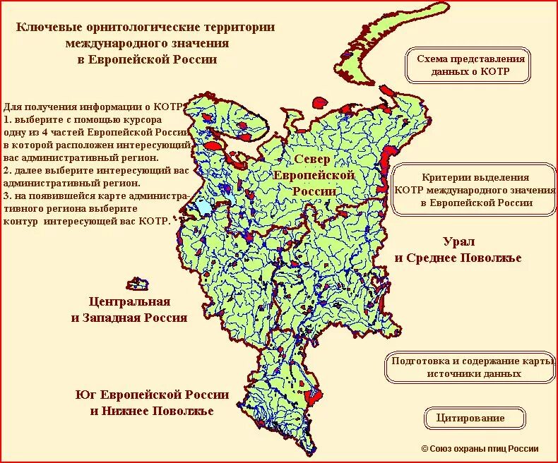 Воронеж на европейской карте россии. Ключевые орнитологические территории. Ключевые орнитологические территории России. Ключевые орнитологические территории европейской части России. Карта ключевых Орнитологических территорий.