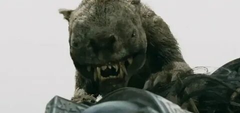 Warg
