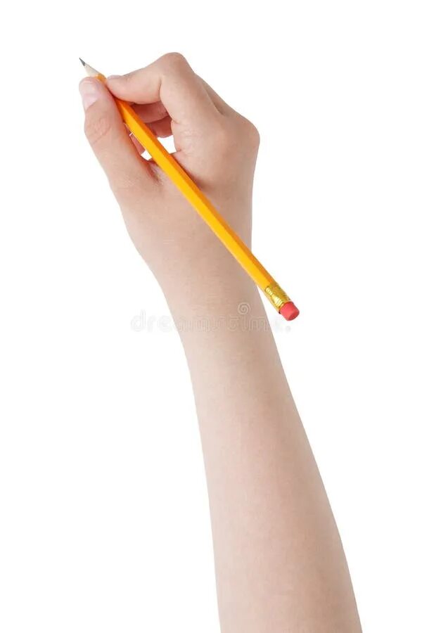 Руки карандашом. Руки рисовать. Рука с карандашом на белом фоне. Кисть держит карандаш.