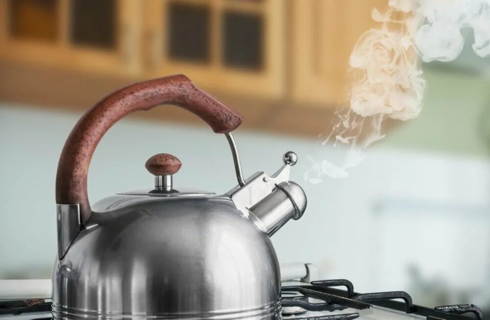 Чайник для плит. Чайник кипит. Чайник кипит на плите. Чайник кипит. Чайник для плит.