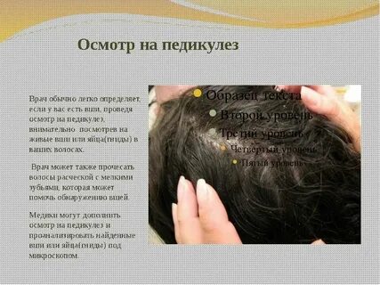 Повторная обработка пациента с педикулезом проводится