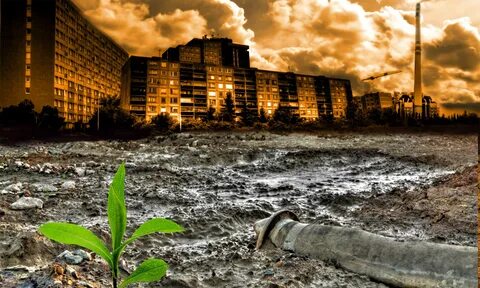 Damage caused to environment