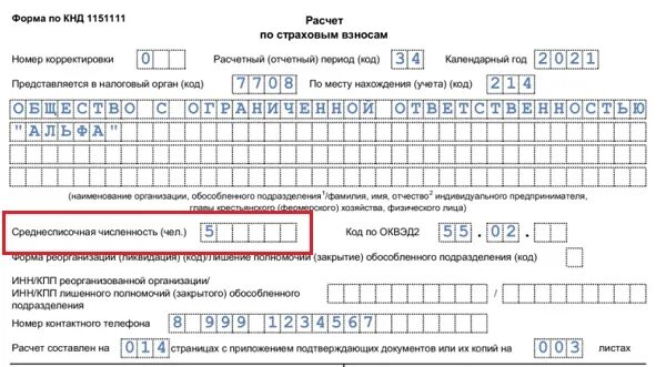 Среднесписочная численность фсс. Как правильно заполнить сведения о среднесписочной численности. Форма КНД 1110018. КНД среднесписочная численность РСВ. Бланк среднесписочная численность работников за 2022 год образец.