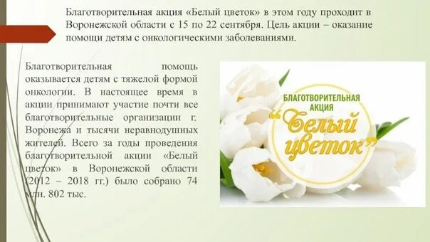 Белый цветок информация. Акция белый цветок. благотворительная акция белый. акция белый цветок цель. белый цветок благотворительная акция презентация.