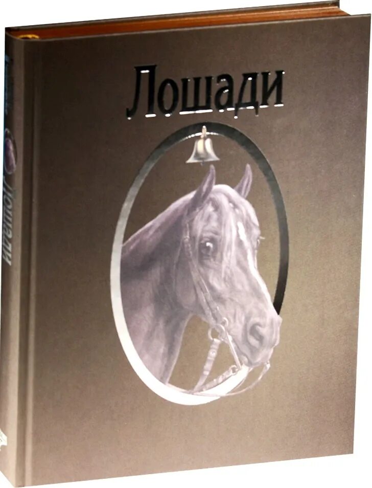 Книги про лошадей. Издания подарочные о лошадях. Книга лошадки. Обложка книги с лошадью.