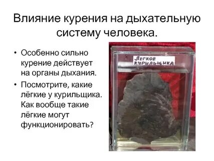 Влияние курения табака на организм