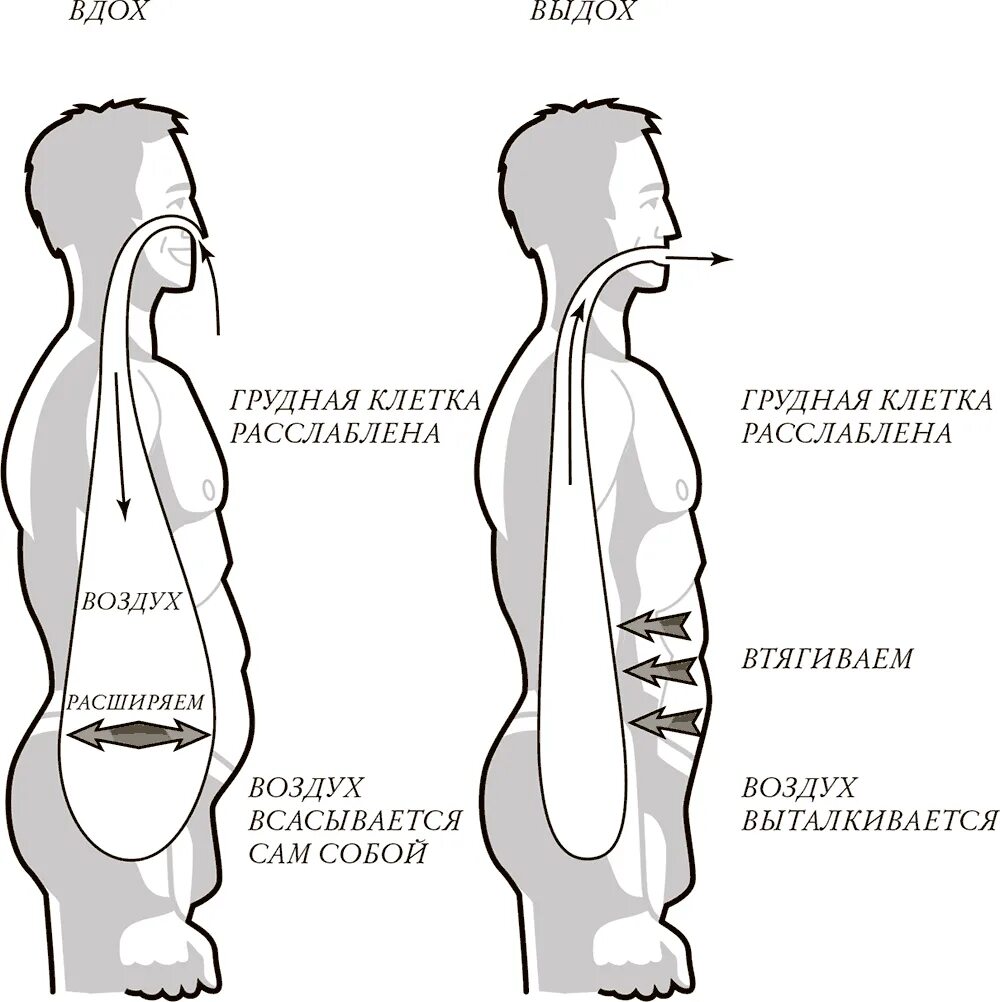 Маленькие вдохи. Диафрагмальное дыхание техника. Диафрагмальное дыхание техника выполнения. Дыхательная техника (диафрагмальное дыхание). Дыхательная техника «брюшное дыхание».