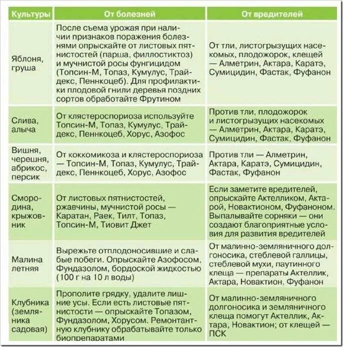 Болезни растений таблица