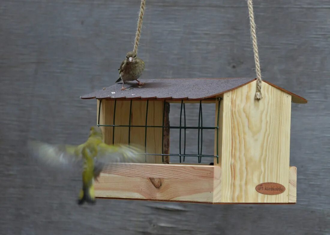 кормушка для птиц прозрачная. кормушка сетка для птиц. защита кормушек. кормушка для мелких птиц. кормушка для мелких птиц.