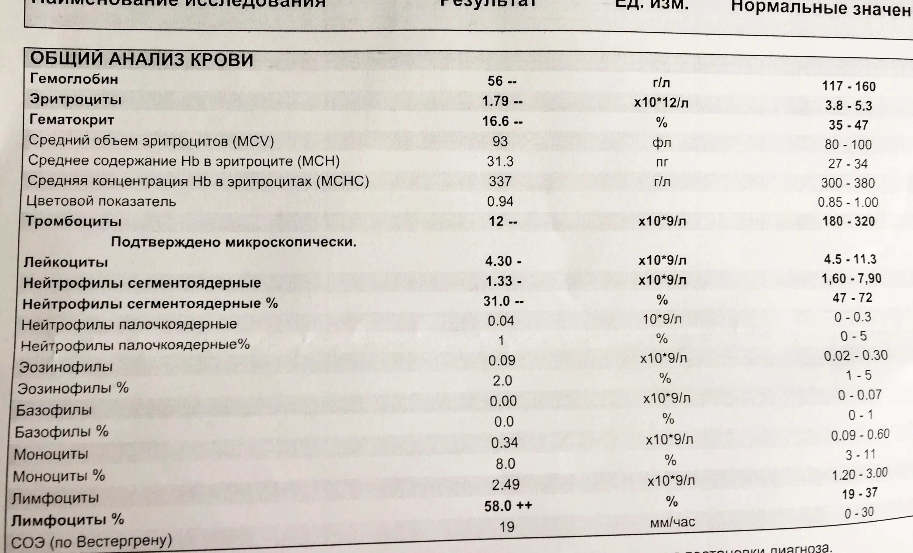 Нейтрофилы норма у взрослых. Норма палочкоядерных и сегментоядерных в крови. палочкоядерные в анализе крови норма. палочкоядерные нейтрофилы норма. палочкоядерные в крови норма у женщин.
