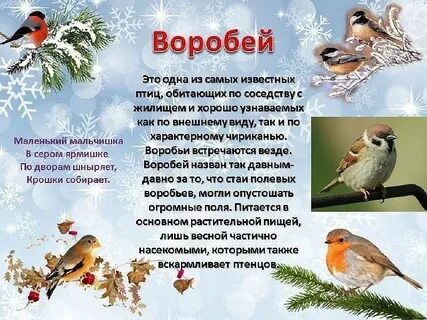 Стихи про зимующих птиц для детей