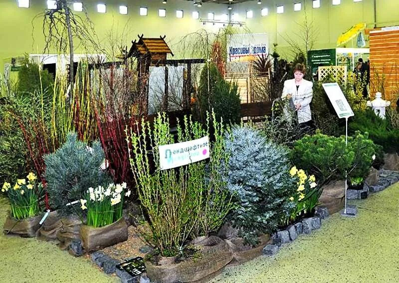 Shopping index. индекс по адресу в москве. индекс москва московская область. индекс москвы садовая. индекс москвы.