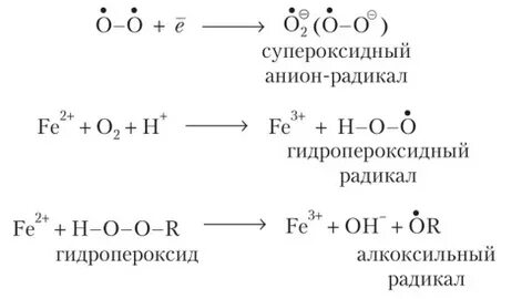Супероксидный анион радикал