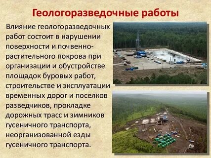 Влияние рельефа на компоненты природы