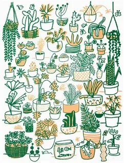 Plant 2020