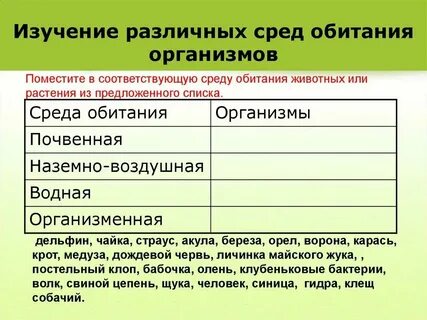 Организменная среда животные примеры