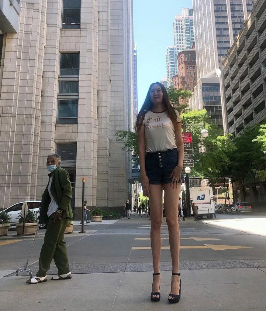 Tall model