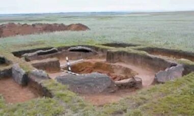 Дөңгелек есек тар