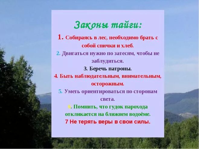 Васюткино озеро пословицы. Законы тайги в рассказе Васюткино озеро. Законы тайги по рассказу Васюткино озеро. Законы тайги сочинение. Законы тайги 5 класс.