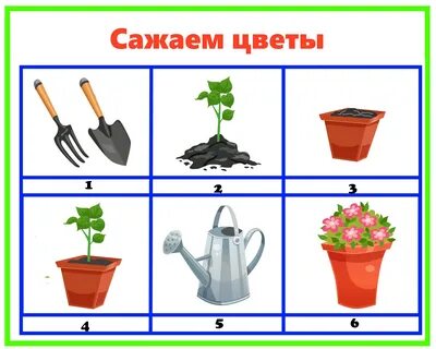 Предметы для ухода за растениями