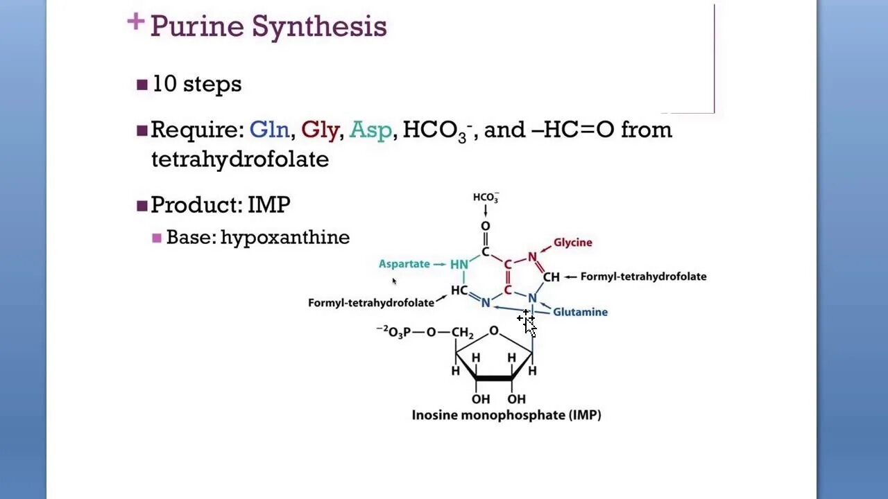 Co synthesis. Pathway of de novo purine nucleotide synthesis. the pathway of de novo pyrimidine nucleotide synthesis. synthesis of purine nucleotides. biosynthesis of purine nucleotides.