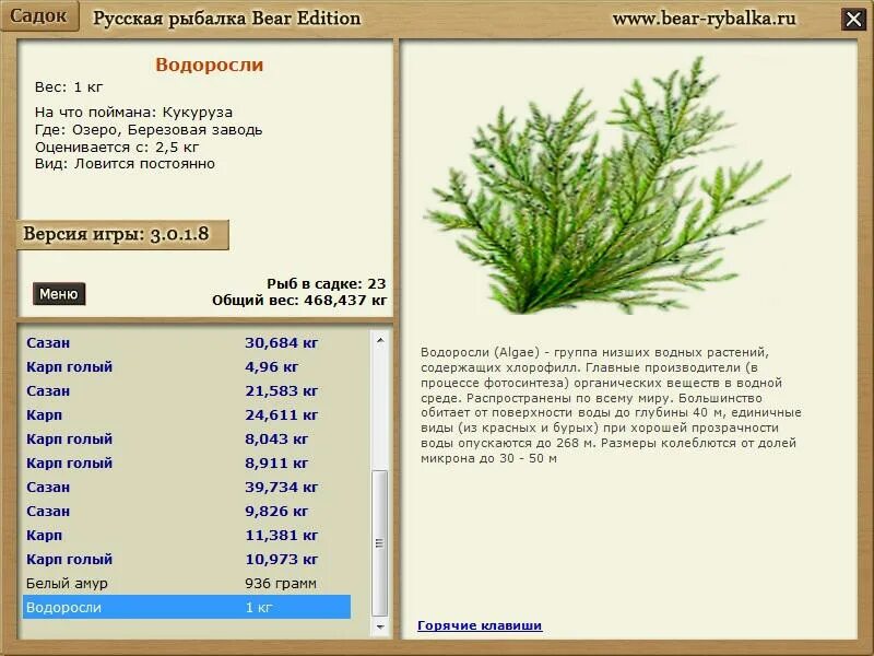 масса водорослей