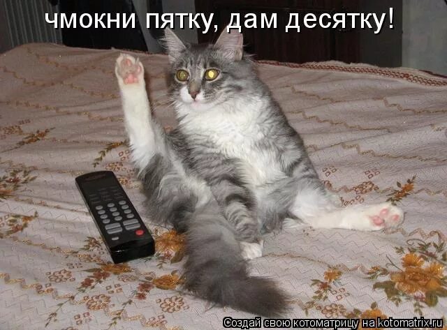 дай десятку. даёшь десятка. дай десятку. я тебе этого никогда не прощу. дай десятку.