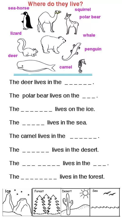 Where does your friends live. Animals Worksheets. Animal Habitats Worksheets. Animals Habitats Worksheets for Kids Worksheets. Animal Habitat for Kids.