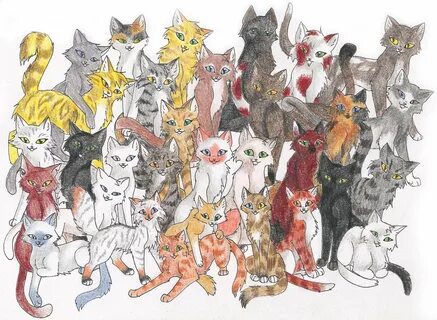 Коты воители 5