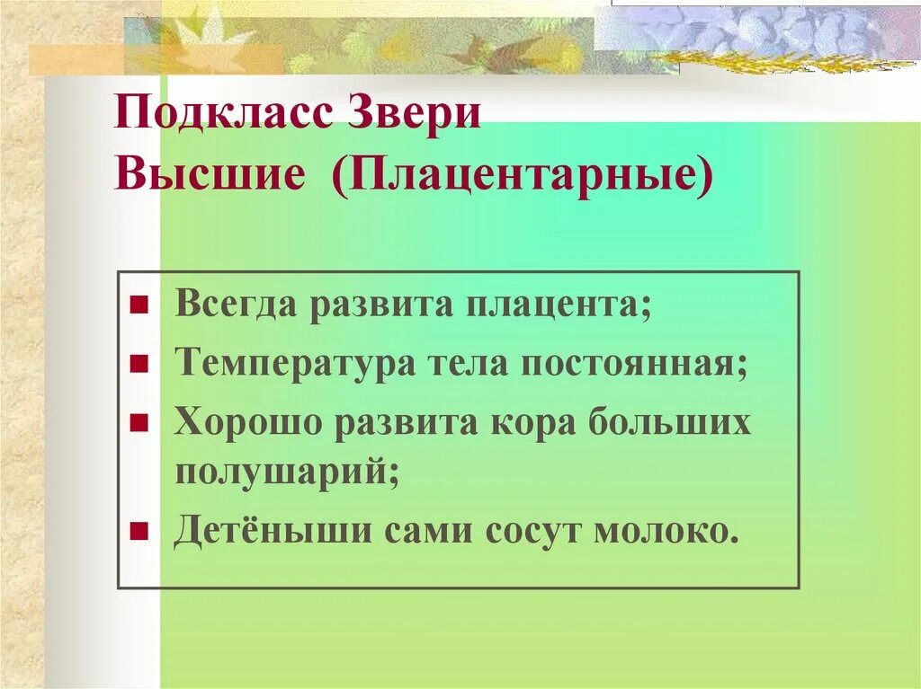 Подкласс звери высшие плацентарные. Подкласс плацентарные признаки. Характеристика плацентарных. Признаки подкласса планцентральные.