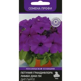 Петуния грандифлора лимбо джи пи