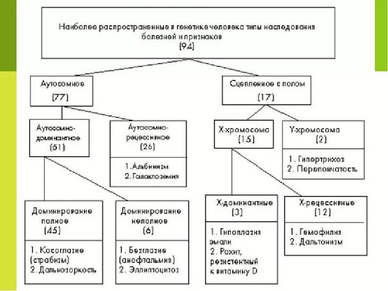 Основные наследования признаков. Перечислите типы наследования признаков. Перечислите основные типы наследования признаков. Типы наследования менделирующих признаков схема с примерами. Основные типы наследования признаков контролируемых ядерными генами.