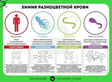 Гемоцианин