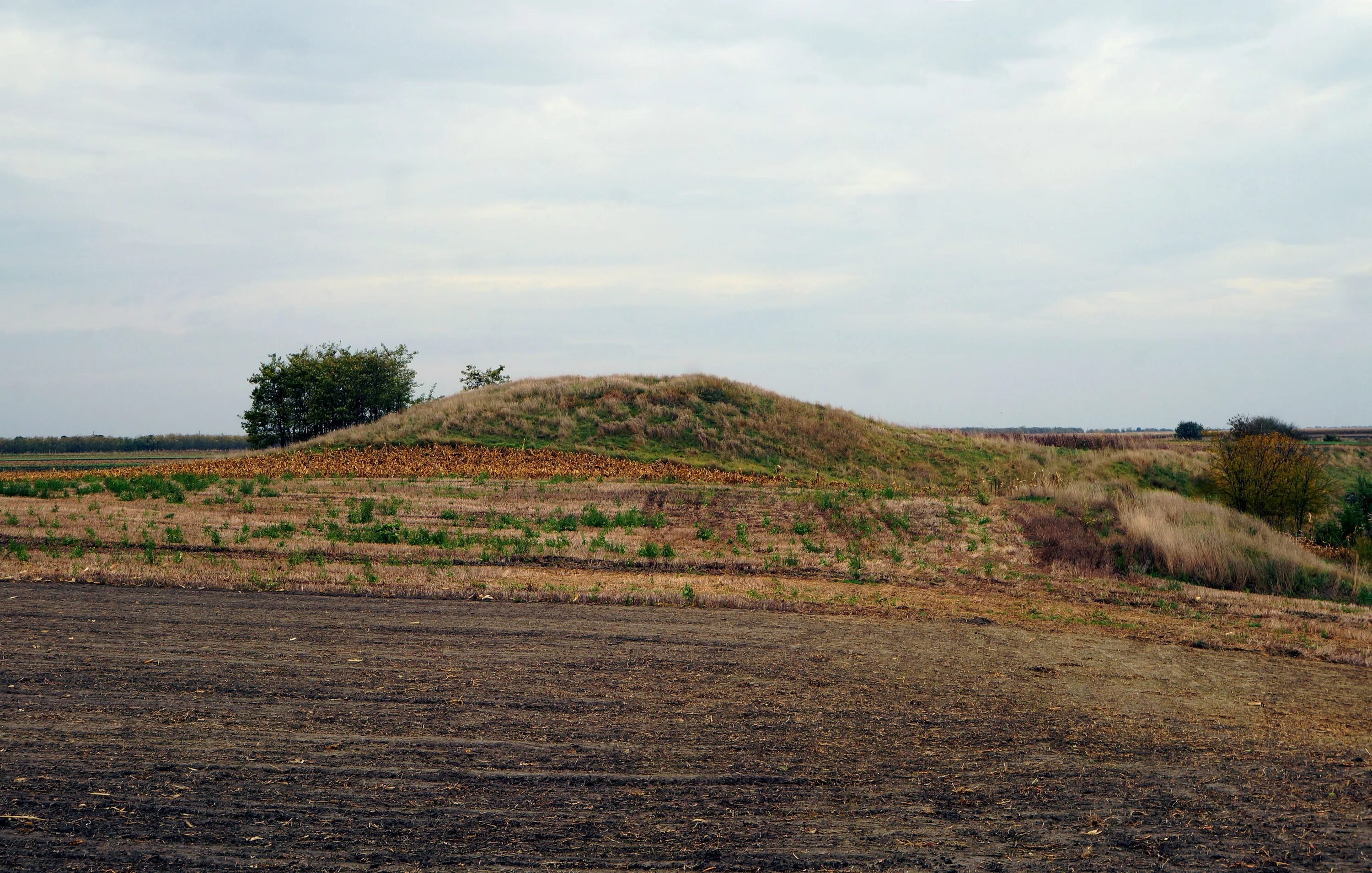 Чашевидный Курган. Курган «шеме темески». Masiso, Курган. 2013 Год Курган фото. Лк курган