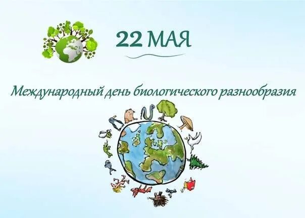 22 мая день биологического разнообразия. 22 мая всемирный день биологического разнообразия. международный день биоразнообразия. международный день сохранения биологического разнообразия. международный день биологического разнообразия 22 май.